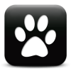Captcha image 1123